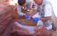 В ЮАР найдены кости людей возрастом более 2 миллионов лет