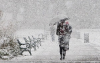У Львові випав перший сніг