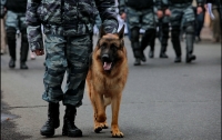 В Украине заработает Кинологический центр полиции