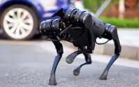 Китайская компания Unitree Robotics представила четвероногого робота-водолаза