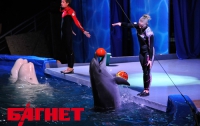 В Киеве открылся дельфинарий (ФОТО)