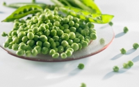 Горох спасет человечество от гипертонии