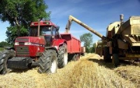 Украина может собрать рекордный урожай зерновых, но…