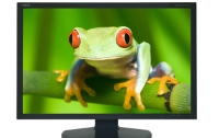 NEC SpectraView 231: профессиональный Full HD-монитор 