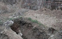 Из могил выбросили человеческие останки