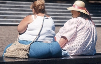 В Дании в рамках борьбы с ожирением ввели налог на жирные продукты