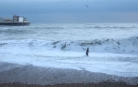 Британка рискнула жизнью, чтобы спасти собаку из бурлящего моря (видео)