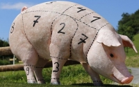 Резкое падение цен на свинину в Украине