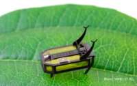 Новый крошечный робот RoBeetle работает на алкоголе