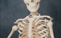 Девять мешков с человеческими костями найдены в Вильнюсе