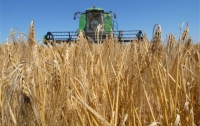 Ривненщина готовится к предстоящей жатве
