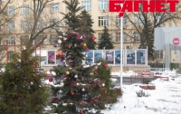 Киевская заправка спасла новогоднюю елку