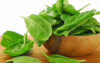 Шпинат и зеленый салат уберегут от проблем с сердцем