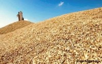 Госсельхозинспекция ищет ГМО при сборе ранних зерновых 