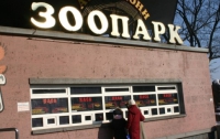 На бывшее руководство киевского зоопарка завели «много уголовных дел»