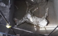 Археологи обнаружили ставшую жертвой извержения Везувия окаменевшую лошадь