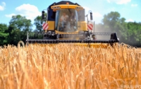Украина побила рекорд по экспорту зерновых
