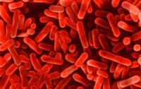 В Великобритании медики в шоке от бактерии, которую не может убить ни один антибиотик!
