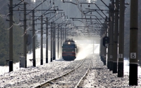 В России пассажир выпал из поезда и пробежал за ним 7 километров 