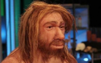 Ученые: неандертальцы общались подобно современным людям