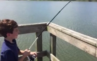 Видеохит: аллигатор украл улов у рыбака прямо с удочки
