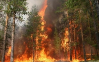 В Украине объявлена повышенная пожарная опасность 