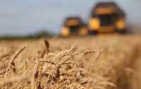 В Украине уже спрогнозировали плохой урожай