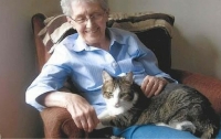 В США пенсионерка не смогла пережить смерть любимой кошки