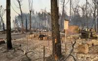 На Харківщині лісова пожежа знищила поселення біженців на 1100 будинків, загинуло четверо людей
