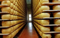 В Словакии задержали украинца, перевозившего 1,5 тонны контрабандного сыра