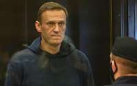 Amnesty International отказалась считать Навального 