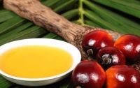 В Украине запретили пальмовое масло