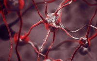 Найден безопасный и эффективный способ лечения болезни Альцгеймера