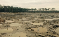 Янтарная мафия превратила земли Полесья в лунную поверхность (ФОТО) 
