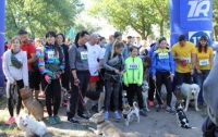 Бегуны с собаками установили рекорд Украины