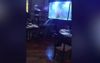 Потоп в ресторане США: треснул большой аквариум (видео)