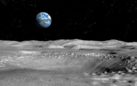 Уфологи обнаружили на Луне череп животного‍ (видео)
