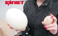 «Молодые регионы» показали украинцам страусиные яйца (ФОТО)