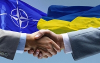Кабмин утвердил Годовую национальную программу Украина-НАТО