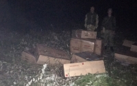 В Закарпатской и Черновицкой областях предупредили перевозку 50 ящиков контрабандных сигарет
