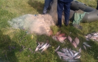 В Украине хотят увеличить штрафы за нарушение правил рыболовства