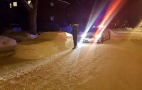 Водитель разыграл полицейских вылепленным из снега автомобилем (ФОТО)
