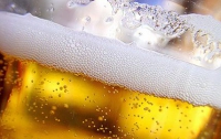 В Австралии ученые изобрели чудо-пиво 