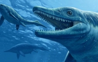 Палеонтологи рассказали о пище древних морских ящеров
