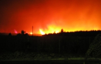 Пожары в России охватили более 600 гектаров земли