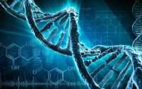 Вчені повністю розшифрували геном людини