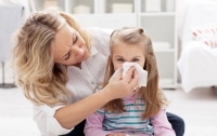 В детских заведениях Львова обнаружены аллергенные клещи