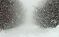 Мартовский снегопад потрепал 10 областей Украины