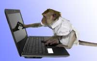 Илон Маск научил обезьяну играть в компьютерные игры