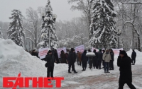 Протестующие кондитеры воспользовались беззащитностью парламента (ФОТО)